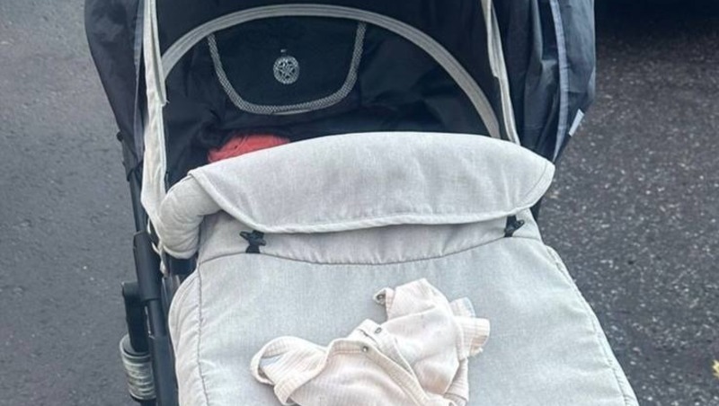 Младенца у мусорных баков нашли на Московском проспекте в Петербурге
