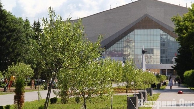 Ремонт СКК имени Блинова выходит на финишную прямую