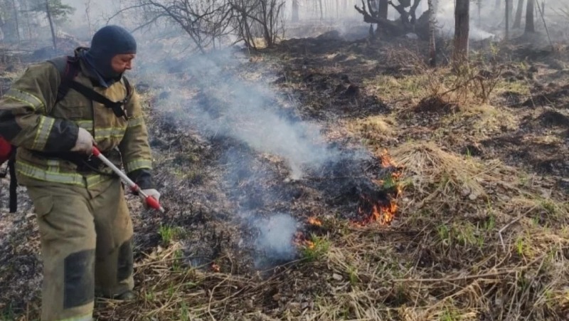 46 лесных пожаров произошло в Свердловской области с начала года