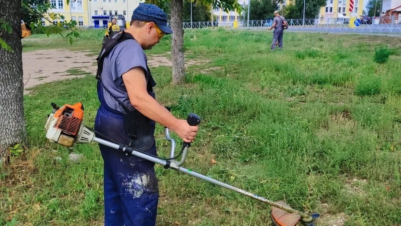 Более 263 тыс. кв. м газона привели в порядок на общегородском субботнике