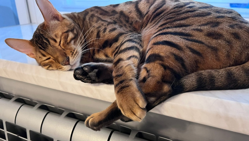 Отопительный сезон завершился в Уфе