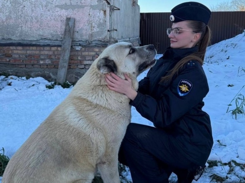 В Кормиловском районе полиция вернула хозяйке украденного щенка алабая