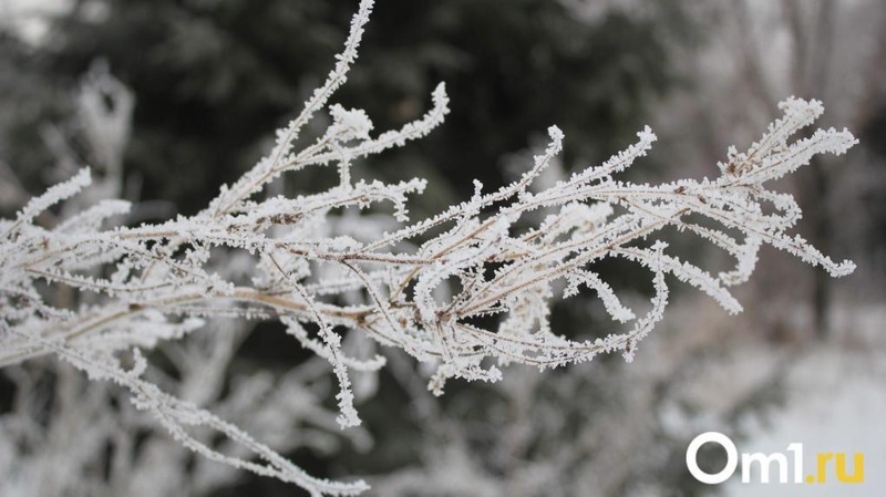 В Омске морозы до –38 градусов начнутся на следующей неделе