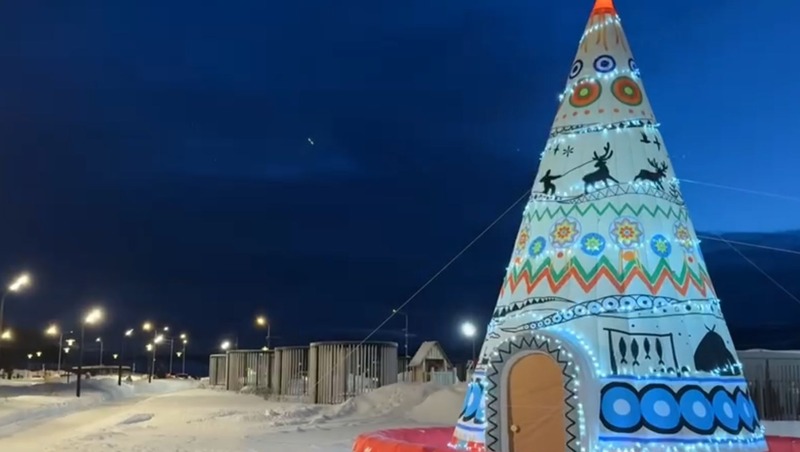 Этническая елка из парка «Дюкча» вышла на федеральный этап всероссийского конкурса