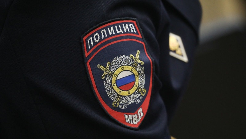 Неизвестный застрелил телёнка в Гатчинском районе