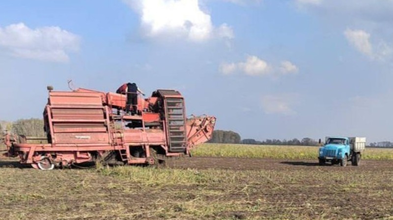 Омские аграрии собрали 2,1 тыс. тонн раннего картофеля	