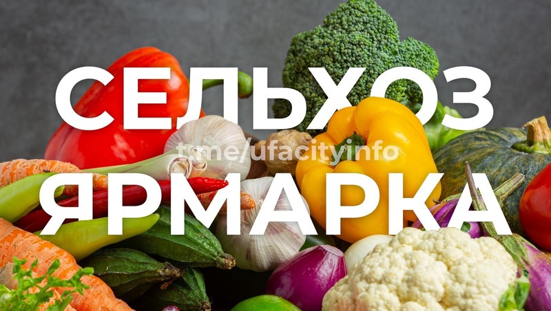Ярмарки сельхозпродукции состоятся 15–16 ноября в Уфе