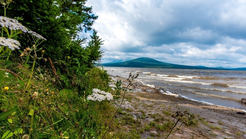 Мальков исчезающих видов рыб выпустят в озеро Зюраткуль