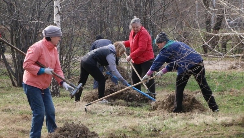 Более 269 тысяч омичей приняли участие в благоустройстве территорий