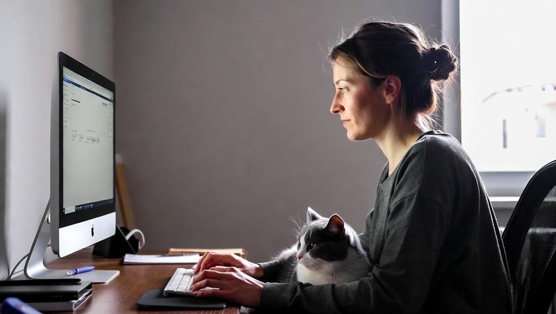 На 25,9% выросло число самозанятых в Петербурге за год