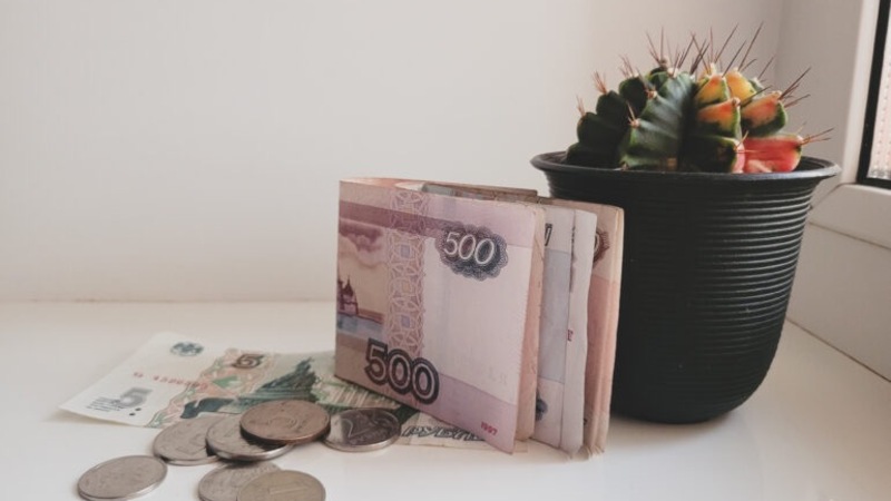 Более 50 студенток получили выплаты по беременности в Самарской области в 2026 году