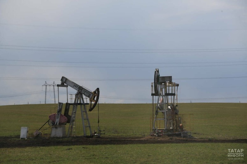 Малые нефтяные компании РТ добыли 6,9 млн. тонн нефти