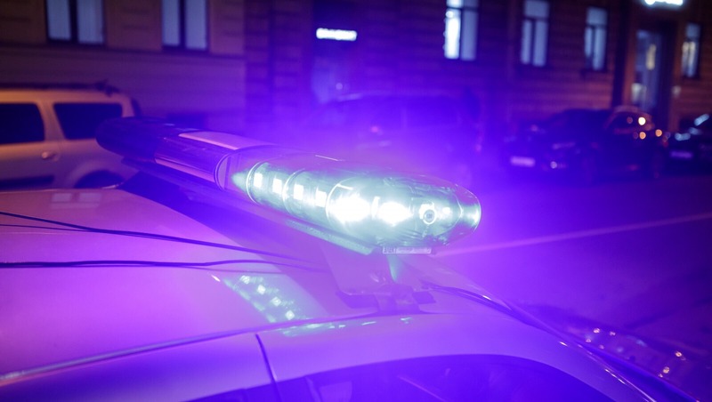 Молодые люди устроили драку у торгового комплекса на Невском