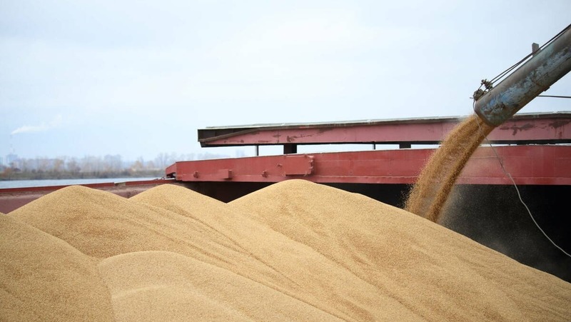 20,8 млрд руб. направят на развитие АПК Татарстана до конца года