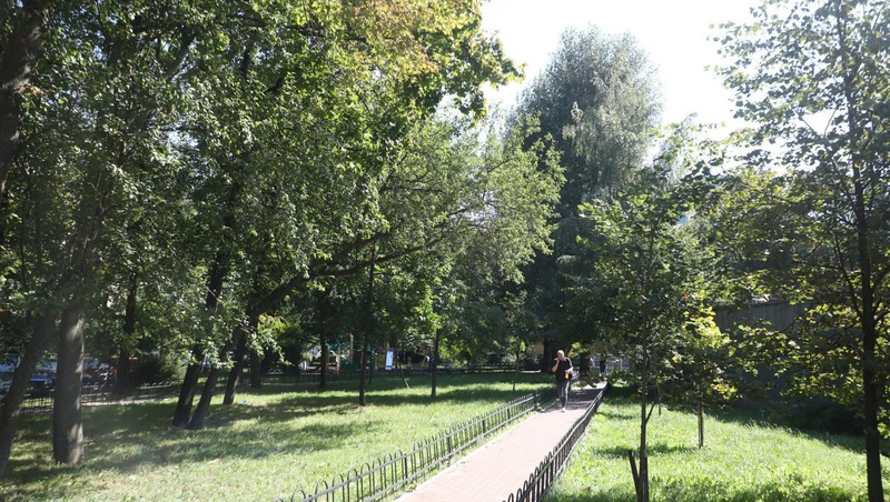 В Петербурге открыли новый сквер на пересечении улиц Некрасова и Маяковского 