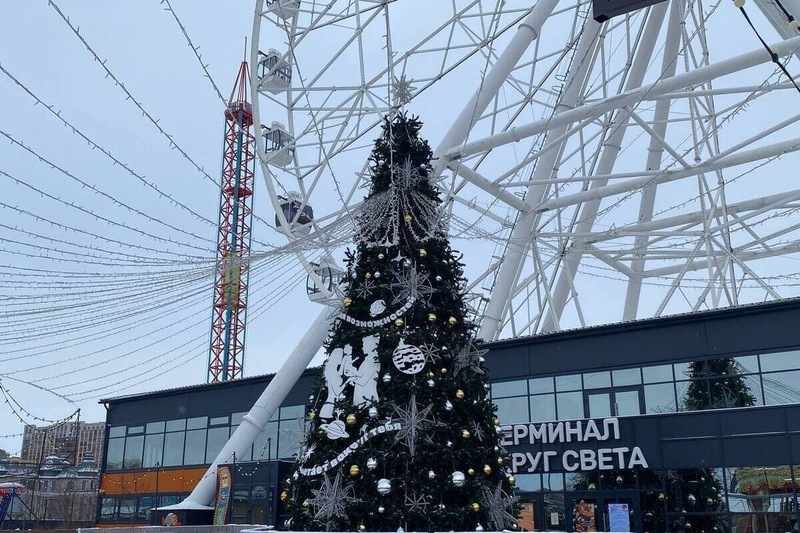 Омская область прошла в финал «Ёлок России»