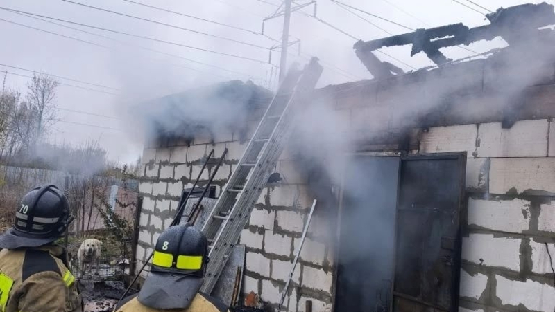 200 собак погибли в огне в Нижнем Новгороде