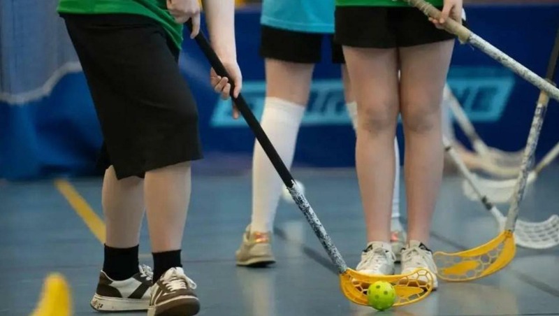 14 женских школьных команд приняли участие в фестивале по флорболу в Гатчине