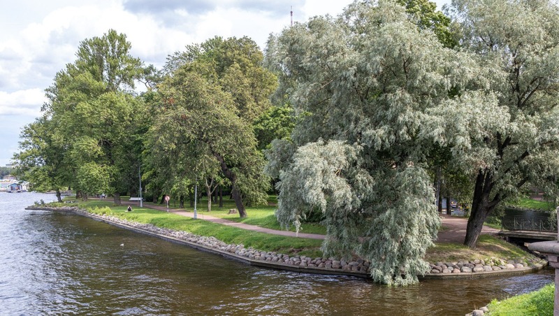 «Звёздный парк» построят в Московском районе Петербурга