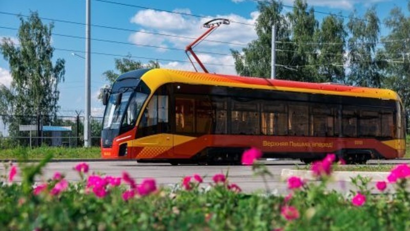 Проезд для школьников сделали бесплатным в Екатеринбурге