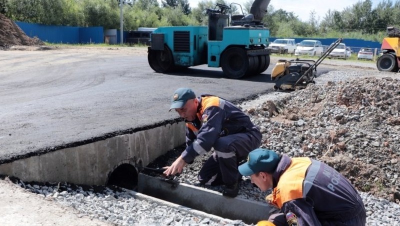Застрявшую в водопропускной трубе собаку спасли в Хабаровске