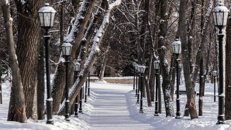 Освещение у 29 школ и детсадов обновят в Екатеринбурге до 2030 года