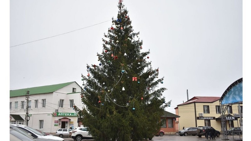 Новогоднюю ель установили на центральной площади Ряжска