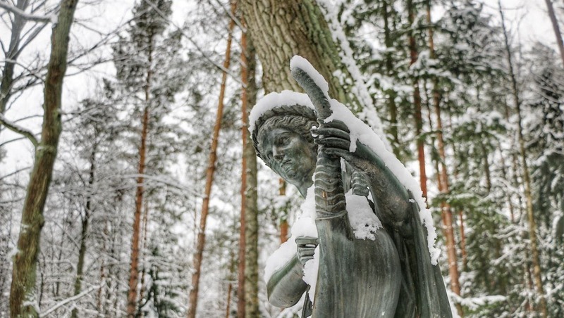 23 крупномерных дерева высадили на аллеях Павловского парка в Петербурге