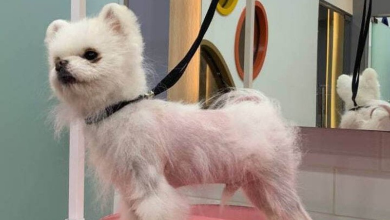 Свердловская компания получила статус резидента федерального проекта «Сколково»