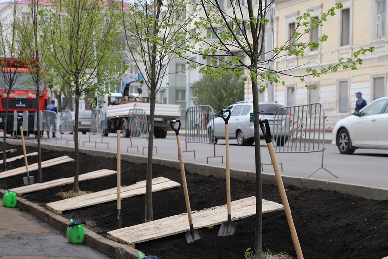 Более 7 тыс. новых деревьев и кустарников высадят в Уфе в 2026 году 