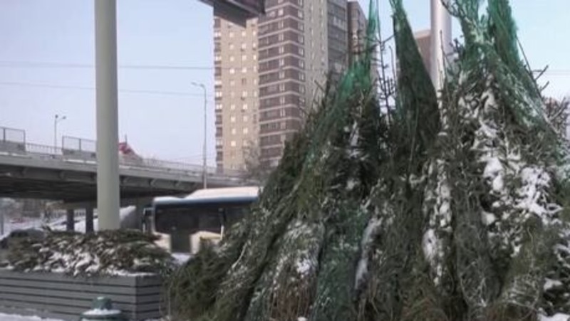 14 ёлочных базаров открылось в Уфе