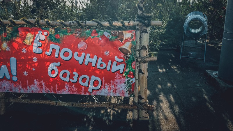В Казани начали работать елочные базары: называем адреса