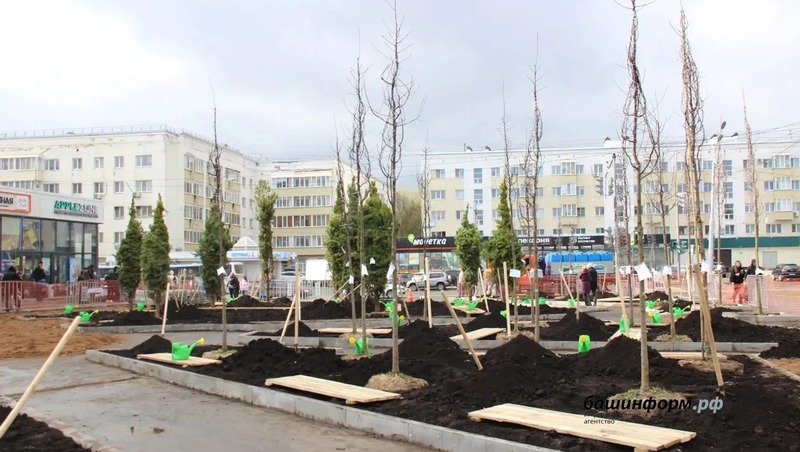 В Уфе благодаря акции «Зеленая Башкирия» высадили почти 900 деревьев