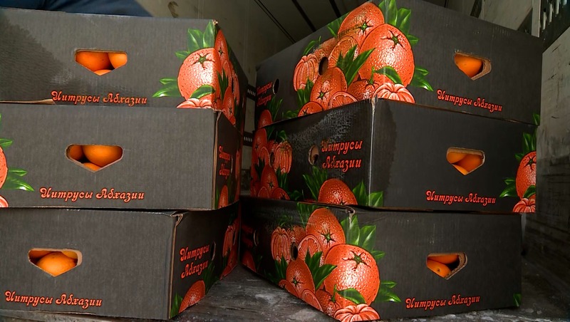 15 тонн апельсинов для социальных учреждений Петербурга передала Абхазия