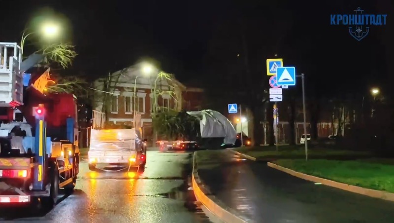 15-метровую ель для Якорной площади доставили в Кронштадт