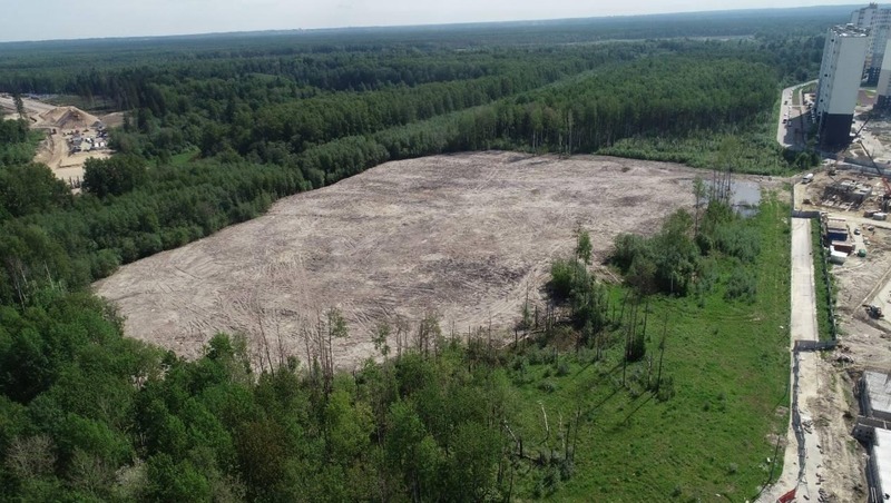 241 несанкционированную свалку ликвидировали в 2025 году в Петербурге