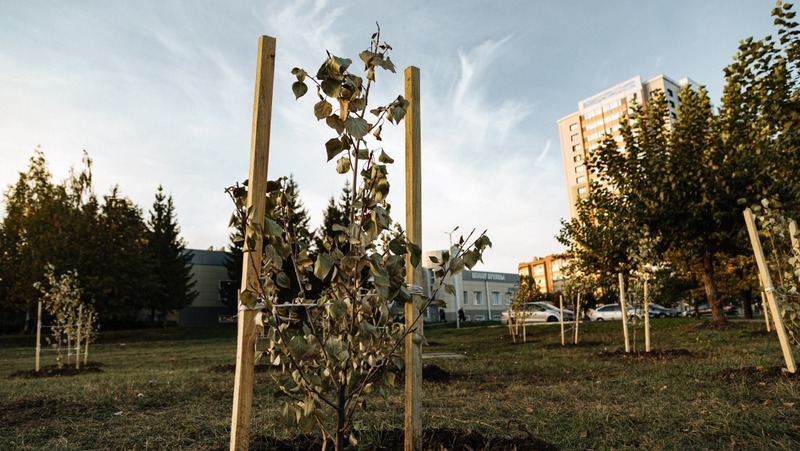 100 саженцев высадили в рамках экоакции в Челнах