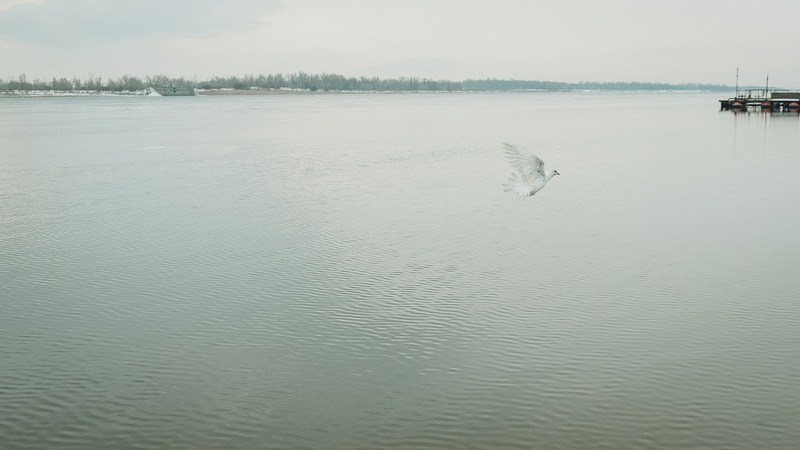 Росприроднадзор отреагировал на жалобы татарстанцев о бане, перекрывшей доступ к Волге