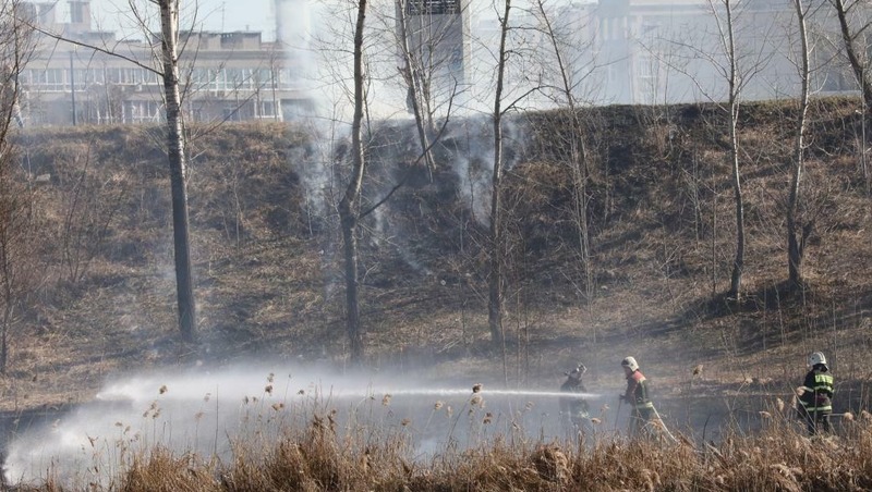 Штаб для борьбы с лесными и торфяными пожарами создали в Нижнем Новгороде