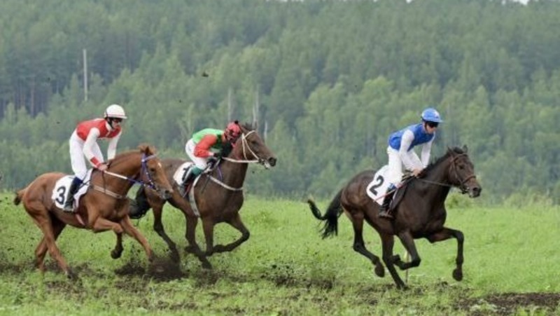 Паслер подписал распоряжение о проведении праздника «Сабантуй-2026» в Свердловской области