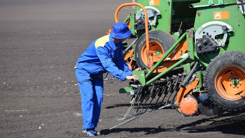 1,6 млрд яиц в год производит Свердловская область