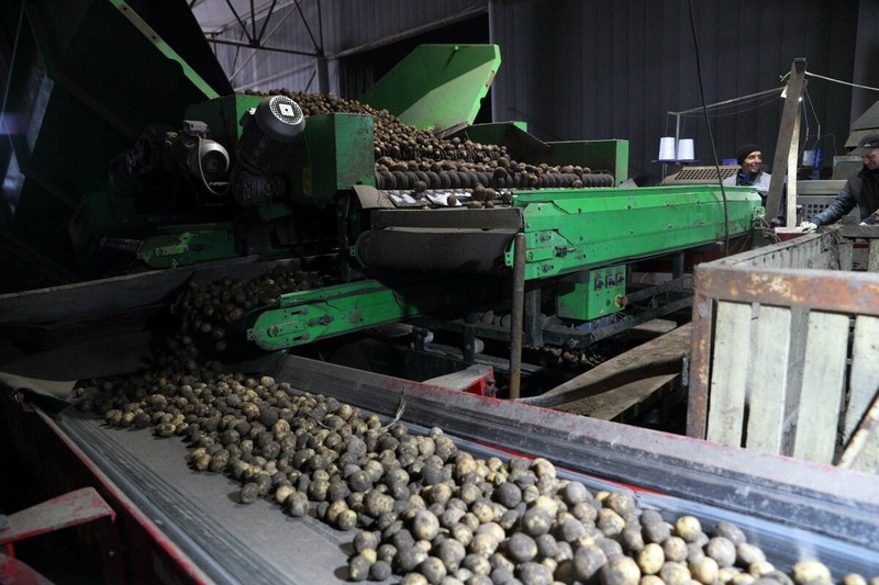 В Татарстане разработана пятилетняя программа по строительству овощехранилищ