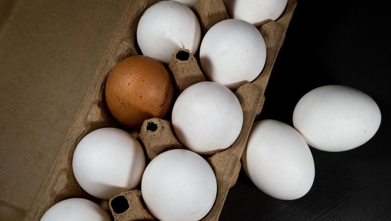 Ленинградская область стала лидером по производству яиц в России