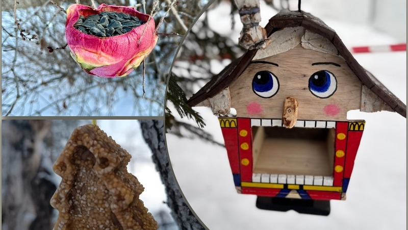 Акция по созданию креативных кормушек для птиц проходит в Челябинской области