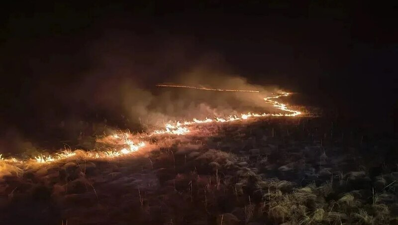 Особый противопожарный режим введут в Башкирии с 30 апреля