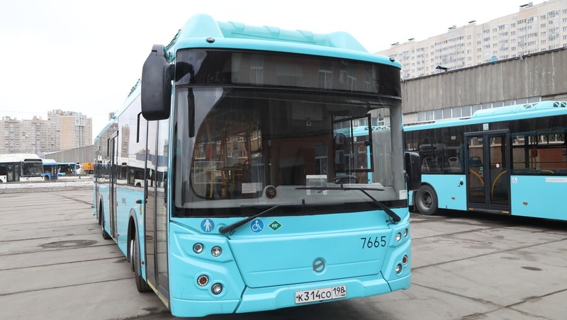 Более 290 новых автобусов появятся в Петербурге