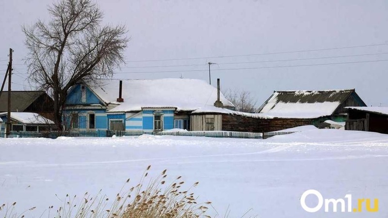 В четырёх сёлах Омской области ввели карантин из-за бешенства