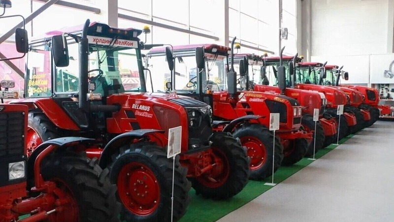 Кепка из Омска попала в Книгу рекордов России