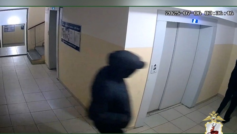 Группу квартирных воров задержали в Нижегородской области