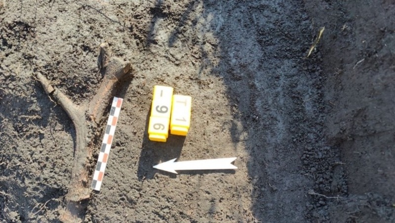 Археологи исследуют курганы раннего железного века в Горьковском районе